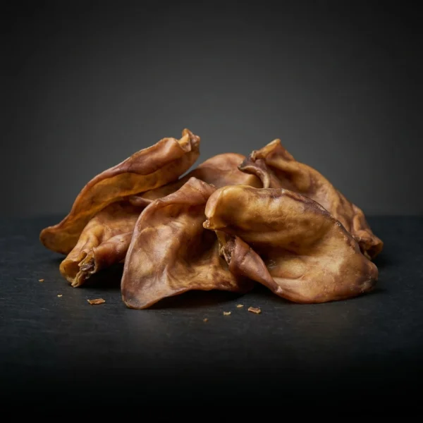 Oreille de porc XL